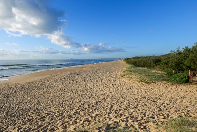 Beach Visits and Scenic Escapades