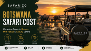 Botswana Safari Cost Complete Guide to Budget, Mid-Range & Luxury Safaris