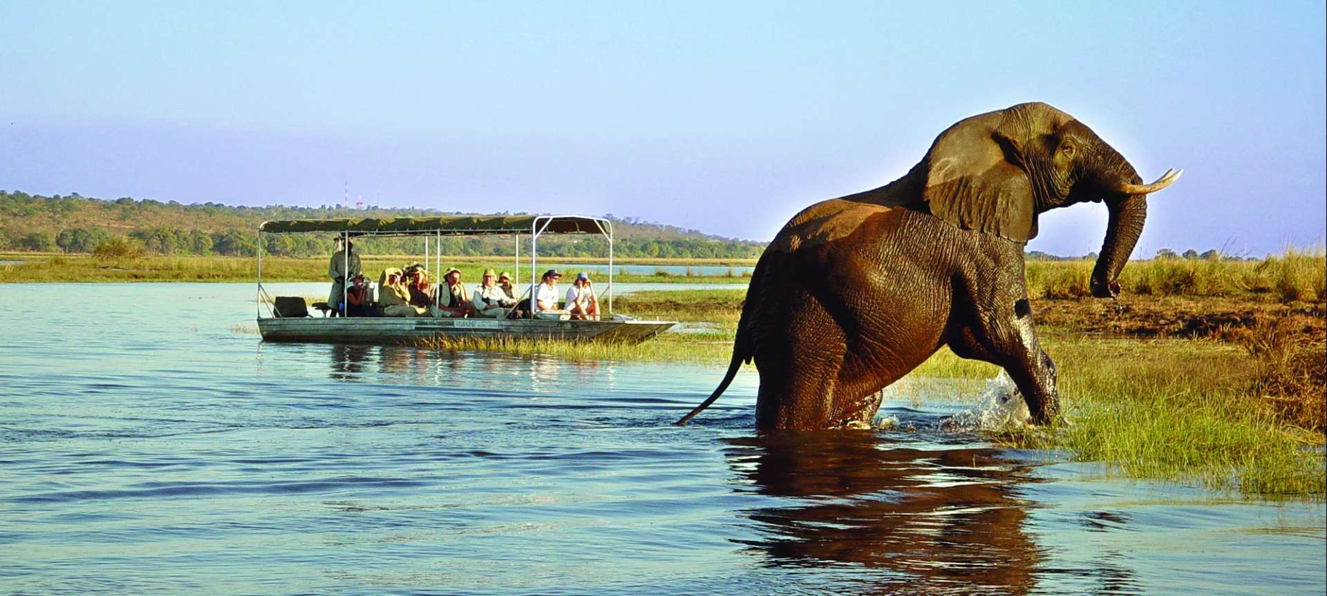 Tanzania Safari