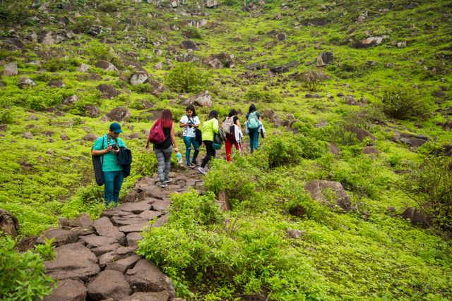 Hiking and Trekking