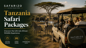 Tanzania Safari Cost Complete Guide to Budget, Mid-Range & Luxury Safaris