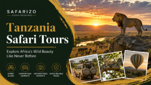 Tanzania Safari Tours Explore Africa’s Wild Beauty Like Never Before