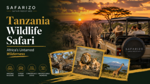 Tanzania Wildlife Safari Africa’s Untamed Wilderness