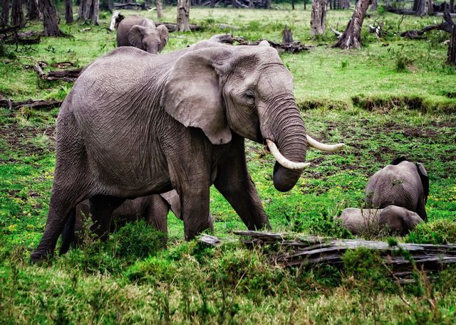 Tipping in Africa