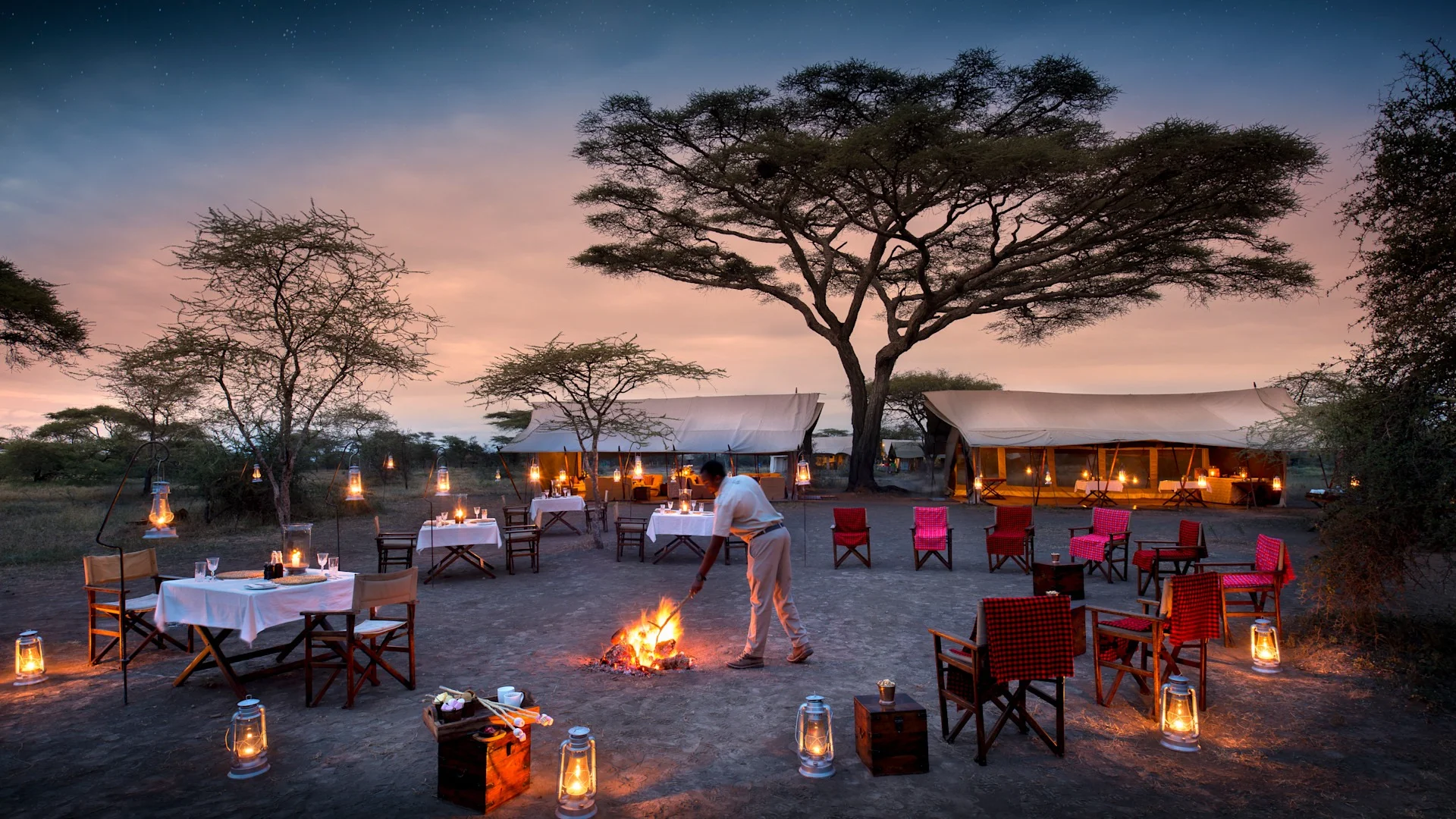 Tanzania Safari
