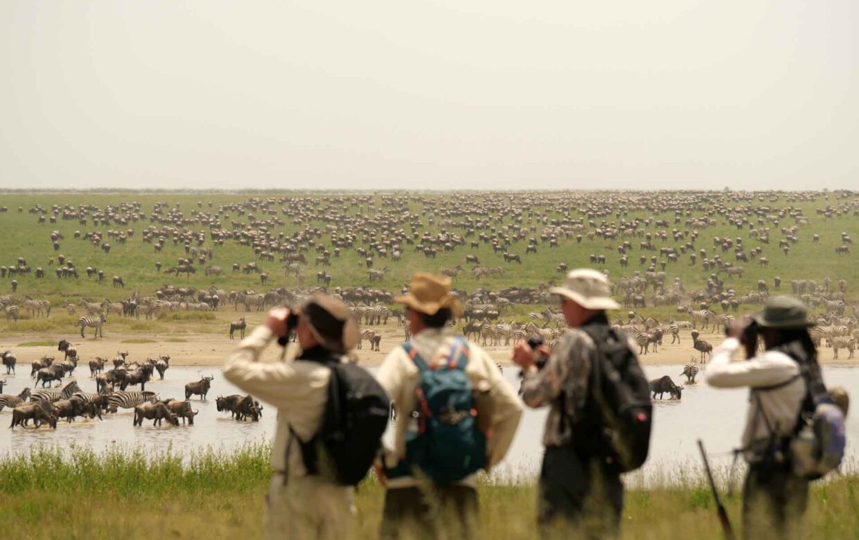 Walking Safari