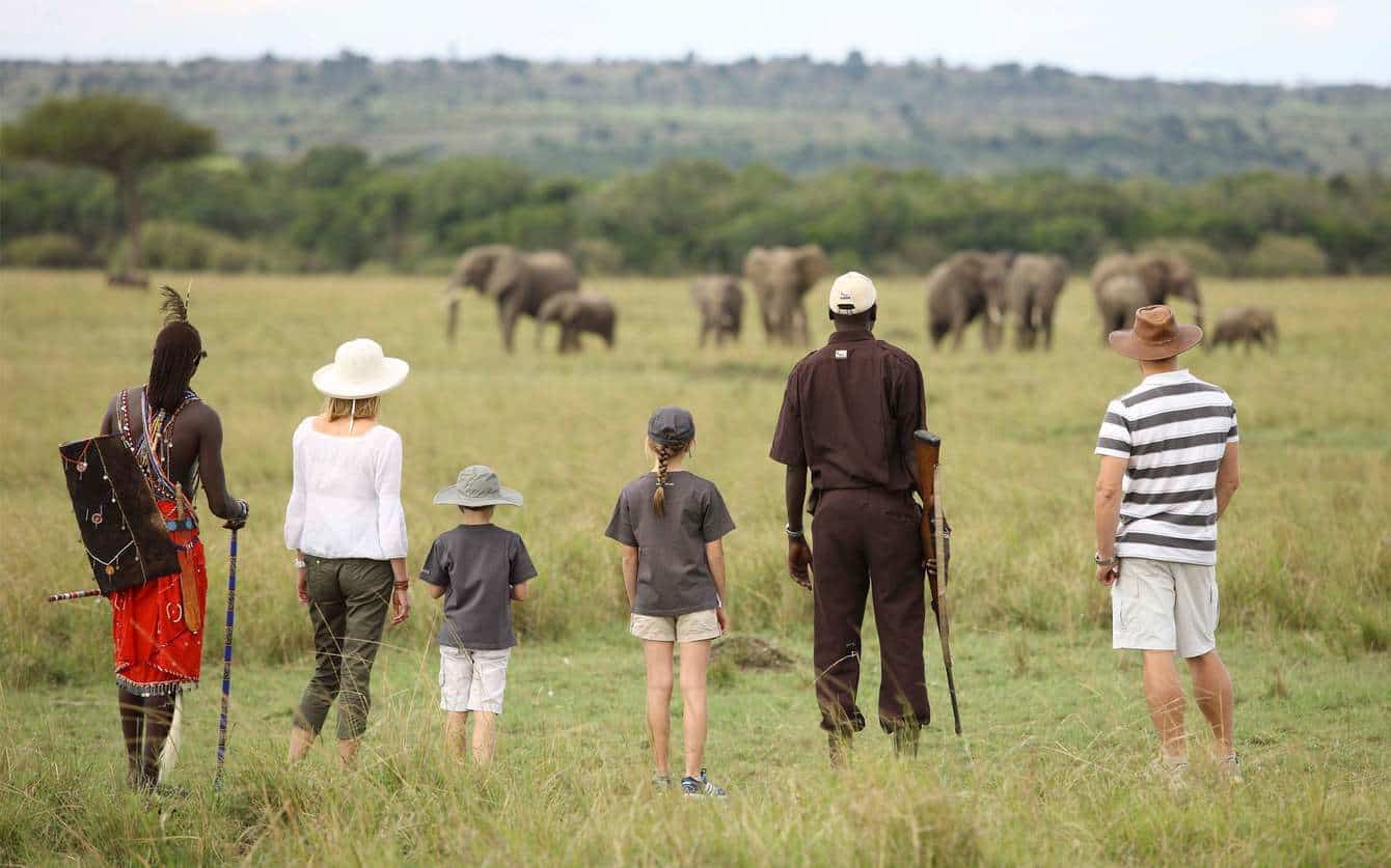 Walking Safari