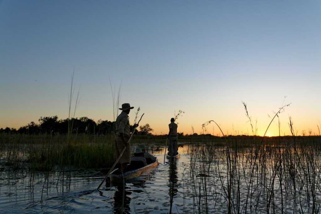 Mokoro canoes on a channel in northern Botswana