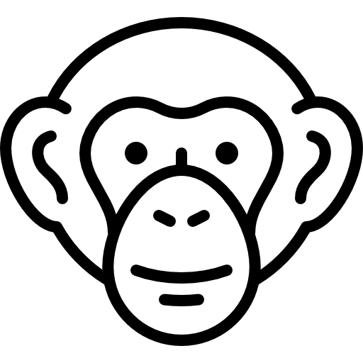 Chimpanzee head
