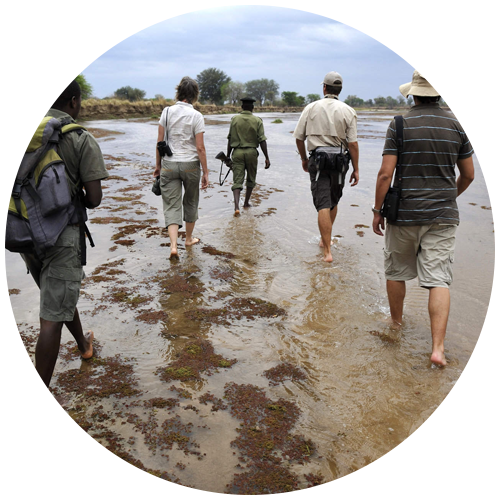 Is It Safe to Trek in Africa