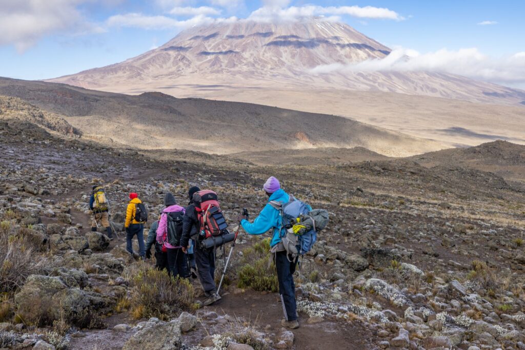 Kilimanjaro Trek Guide