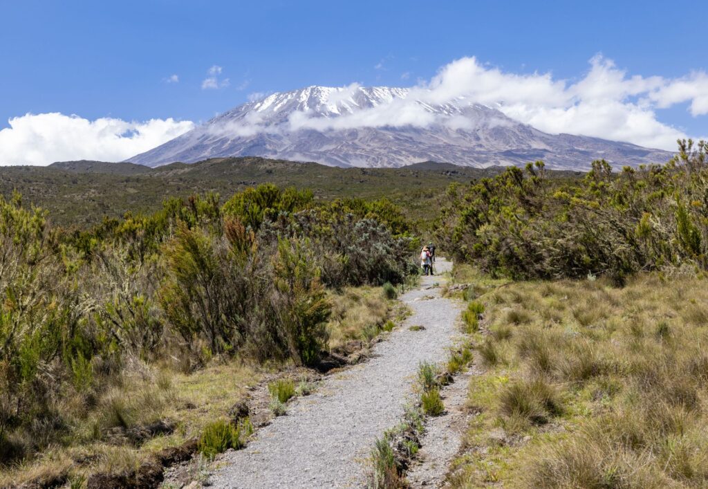 Kilimanjaro Trek Guide