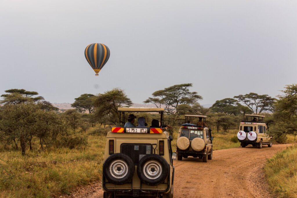 Pexels tanzania wild sky 986912744 20179685 (1)