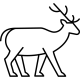 Herbivore (1)
